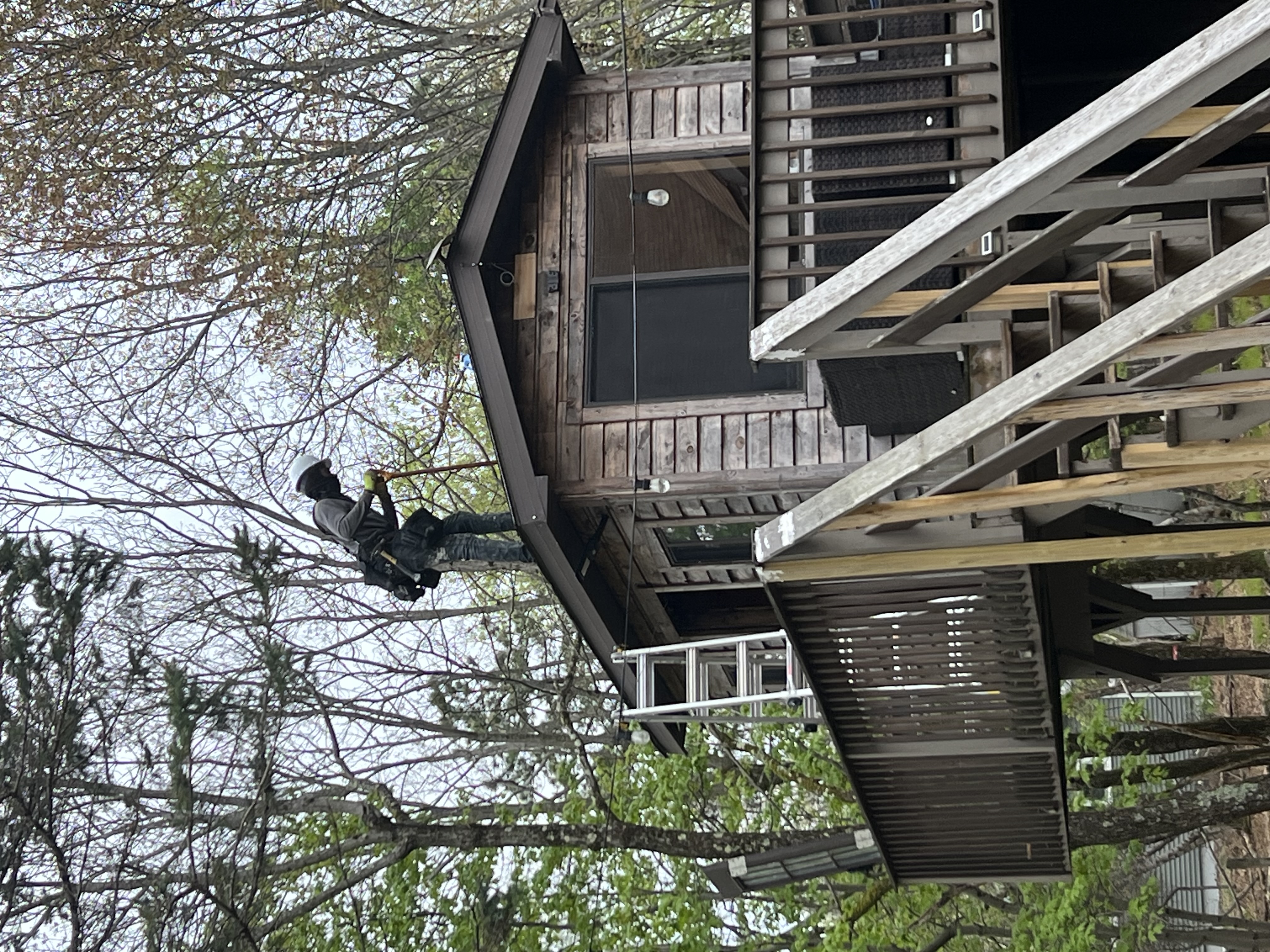 Poconos cabin before renovation — technician trimming overhanging tree branches near the roofline