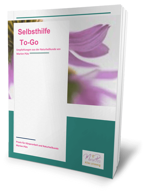 Selbsthilfe to Go, Buchcover