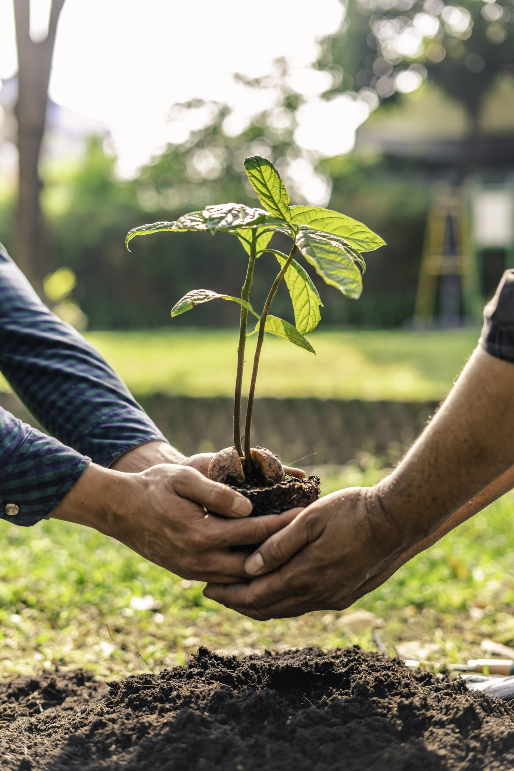 Sustainability