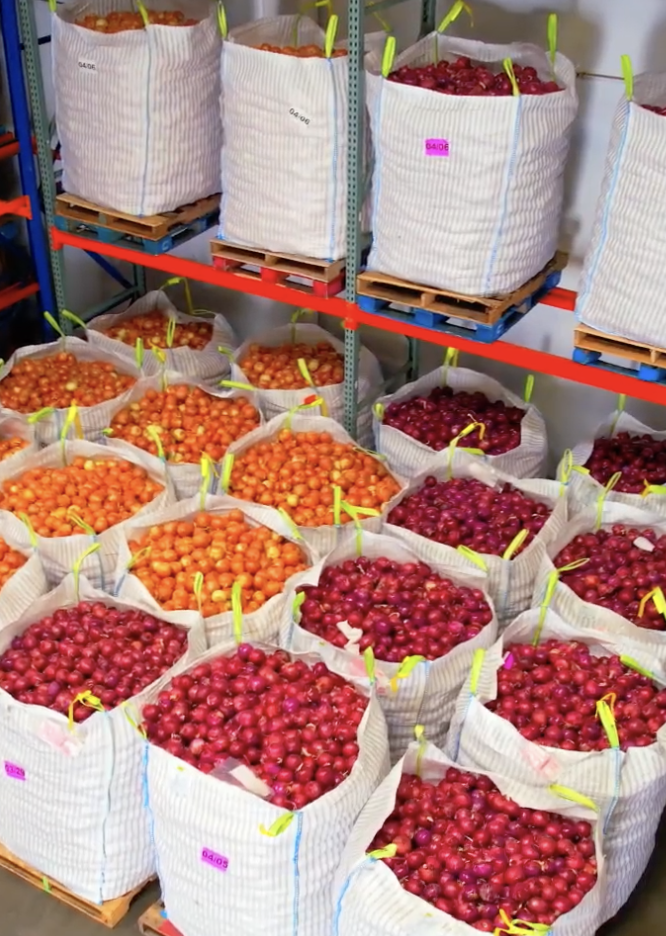 Traceability