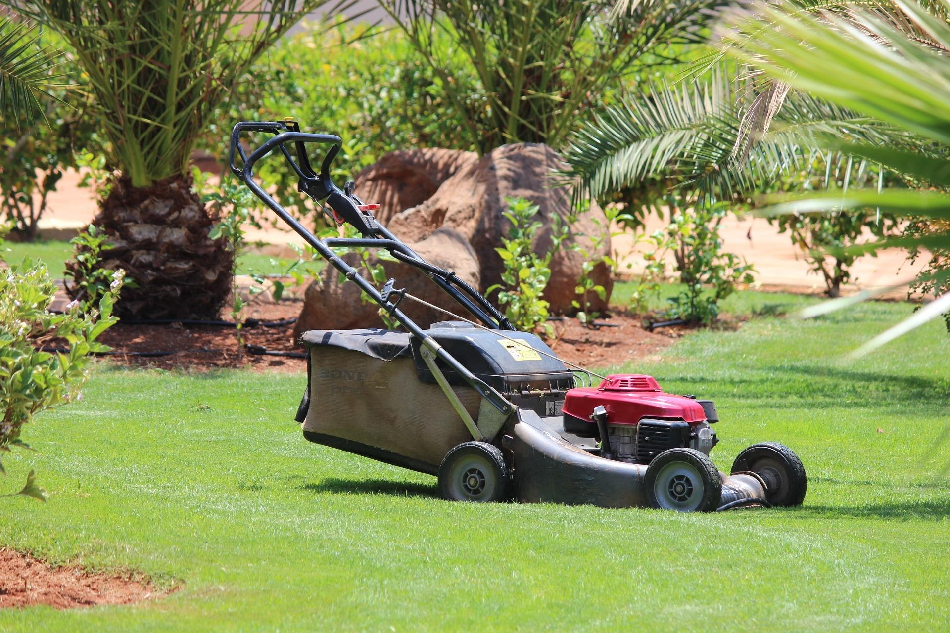 Garden tidy up and clean up by J.A.H, Sunshine Coast