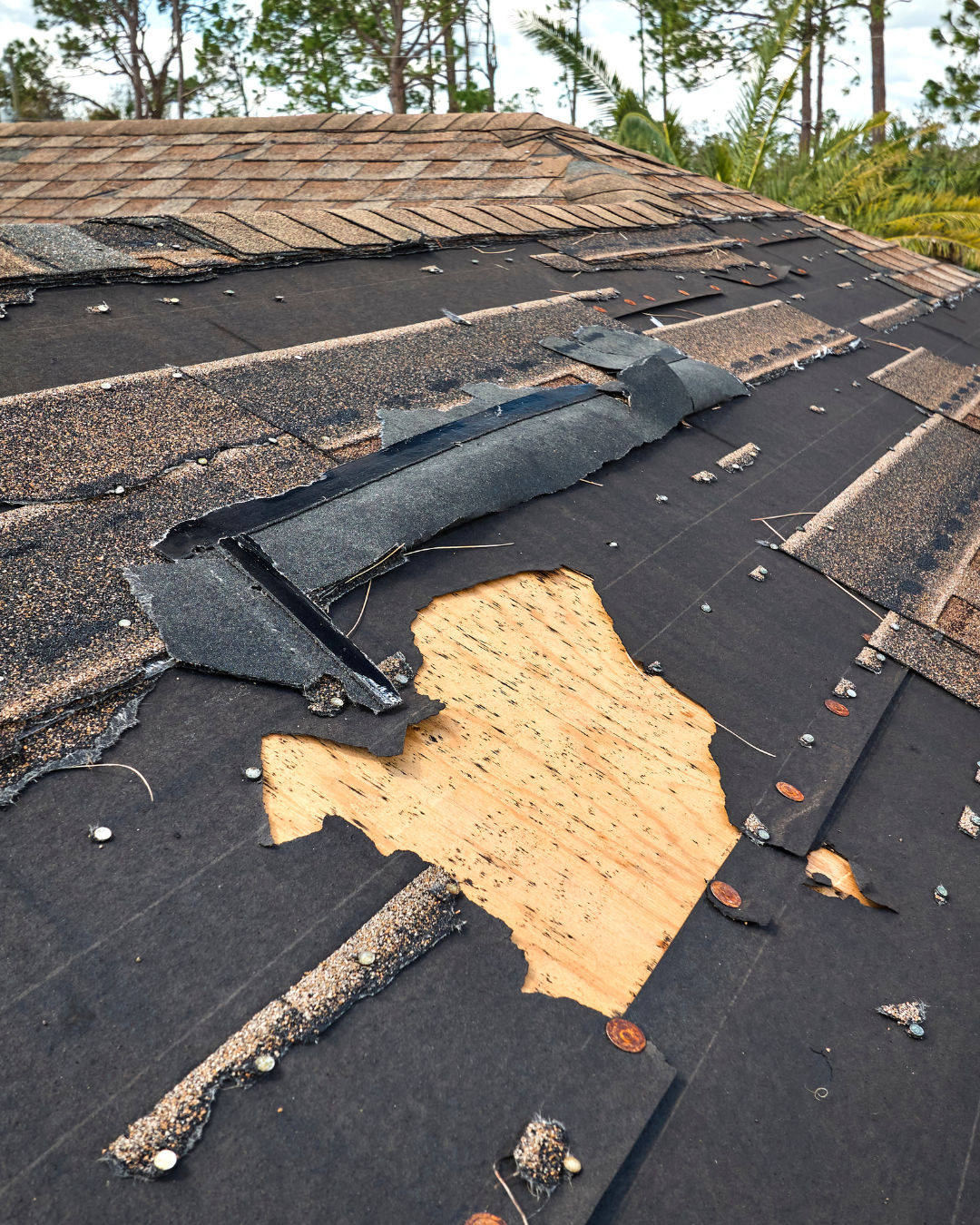 Photo of an emergency roof tarping job or a crew responding to an urgent active leak scenario