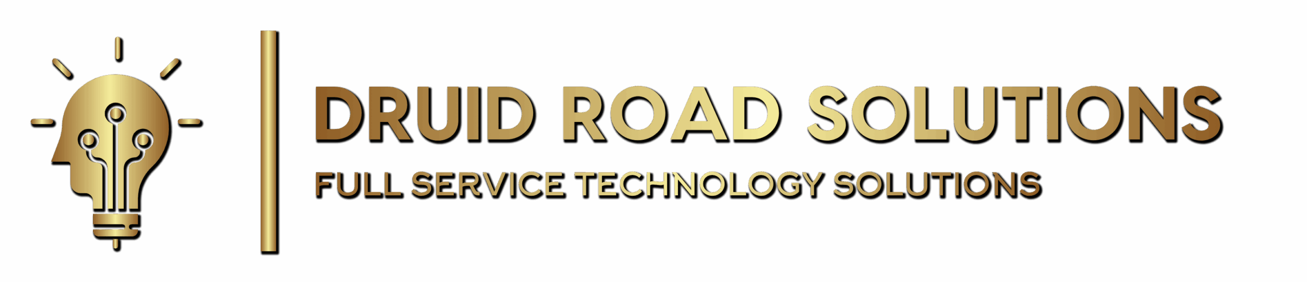 Druid Road Solutions — Veteran-Owned Technology Services Firm