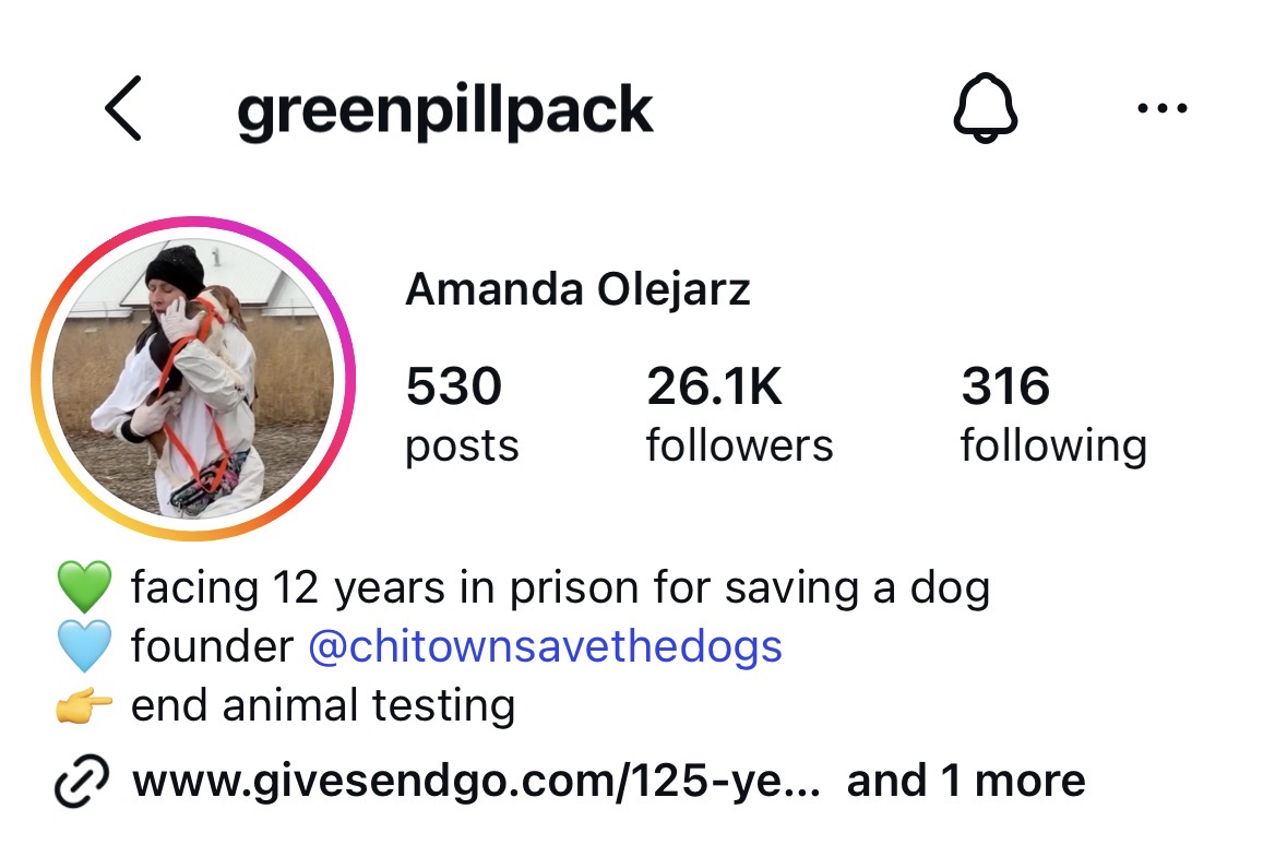 Amanda Olejarz Instagram profile showing 26.1K followers and nonprofit work