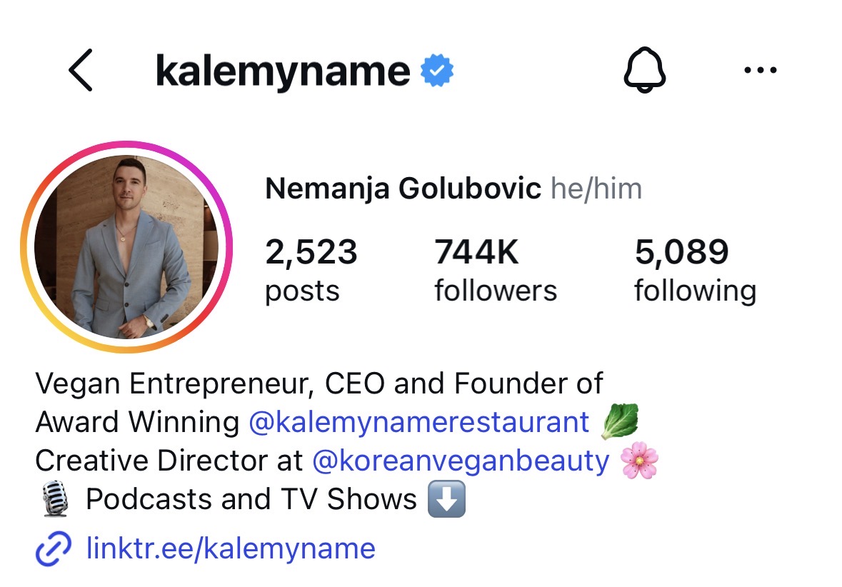 Nemanja Golubovic @kalemyname profile showing 744K followers