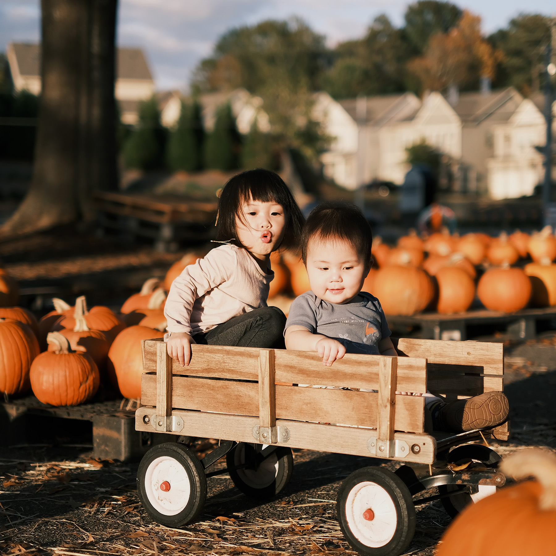 Two young siblings sitting together in a wooden wagon at a pumpkin patch in golden afternoon light