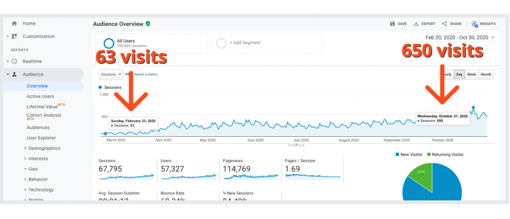 Organic Search Visits