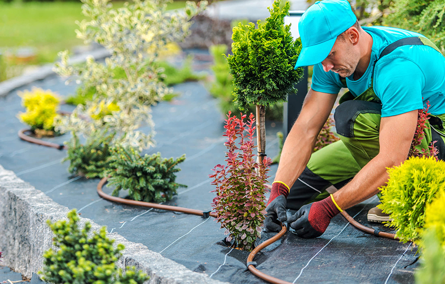 Landscaping job leads