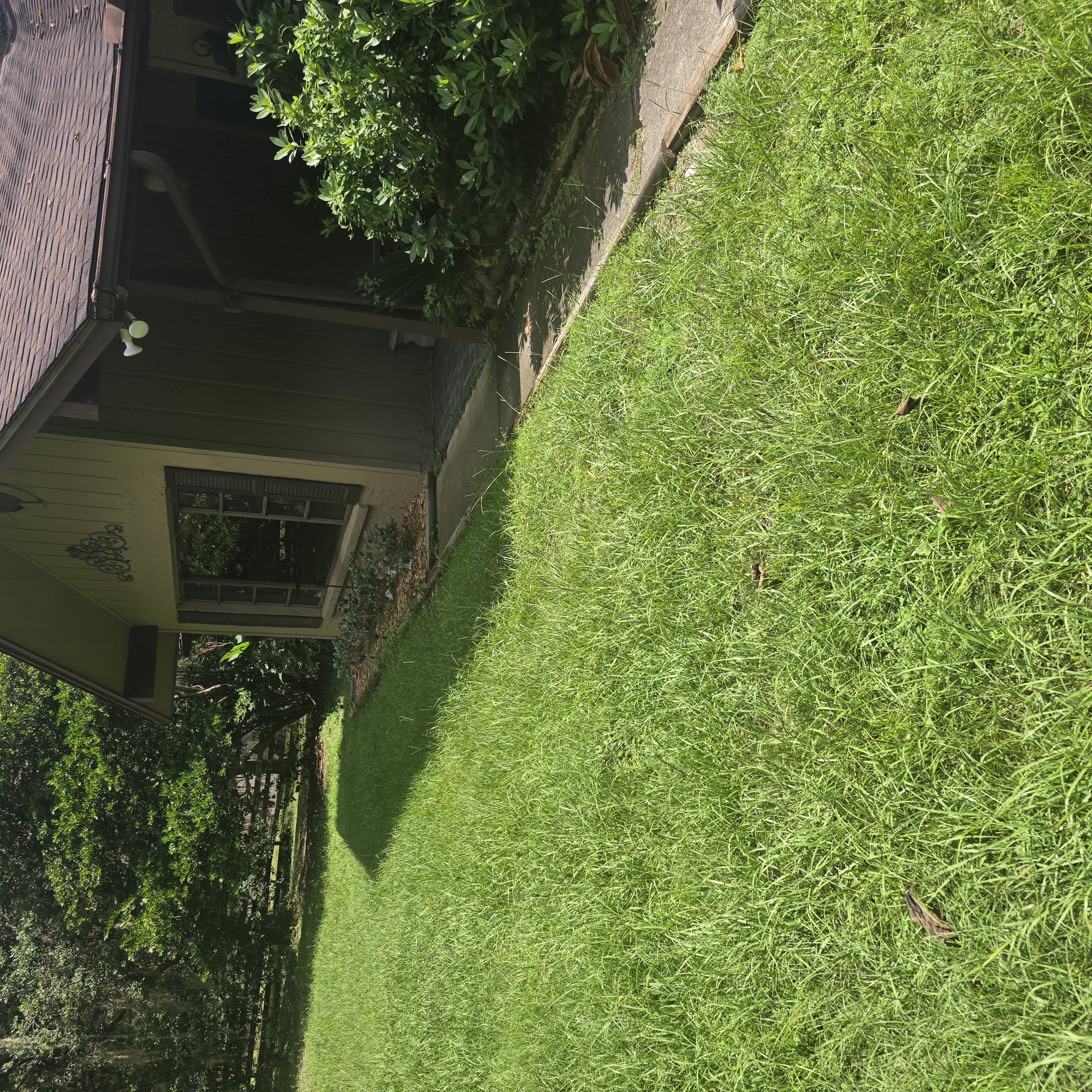 Property Lawn & Walkway Overgrowth — Before Service by Cooter Bay Landscaping