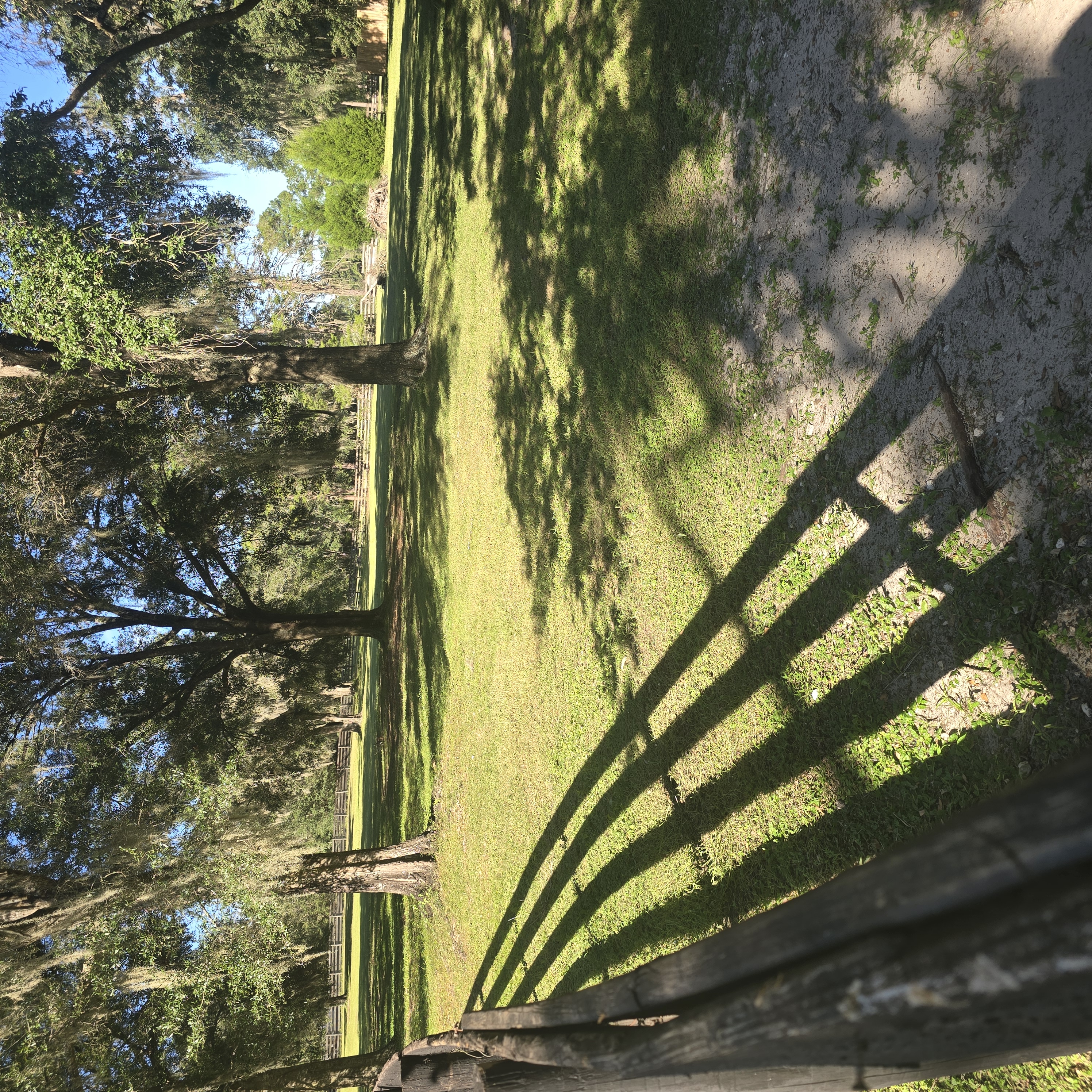 Wooded Fence Line & Cleared Canopy — Cleaned & Maintained (After) by Cooter Bay Landscaping