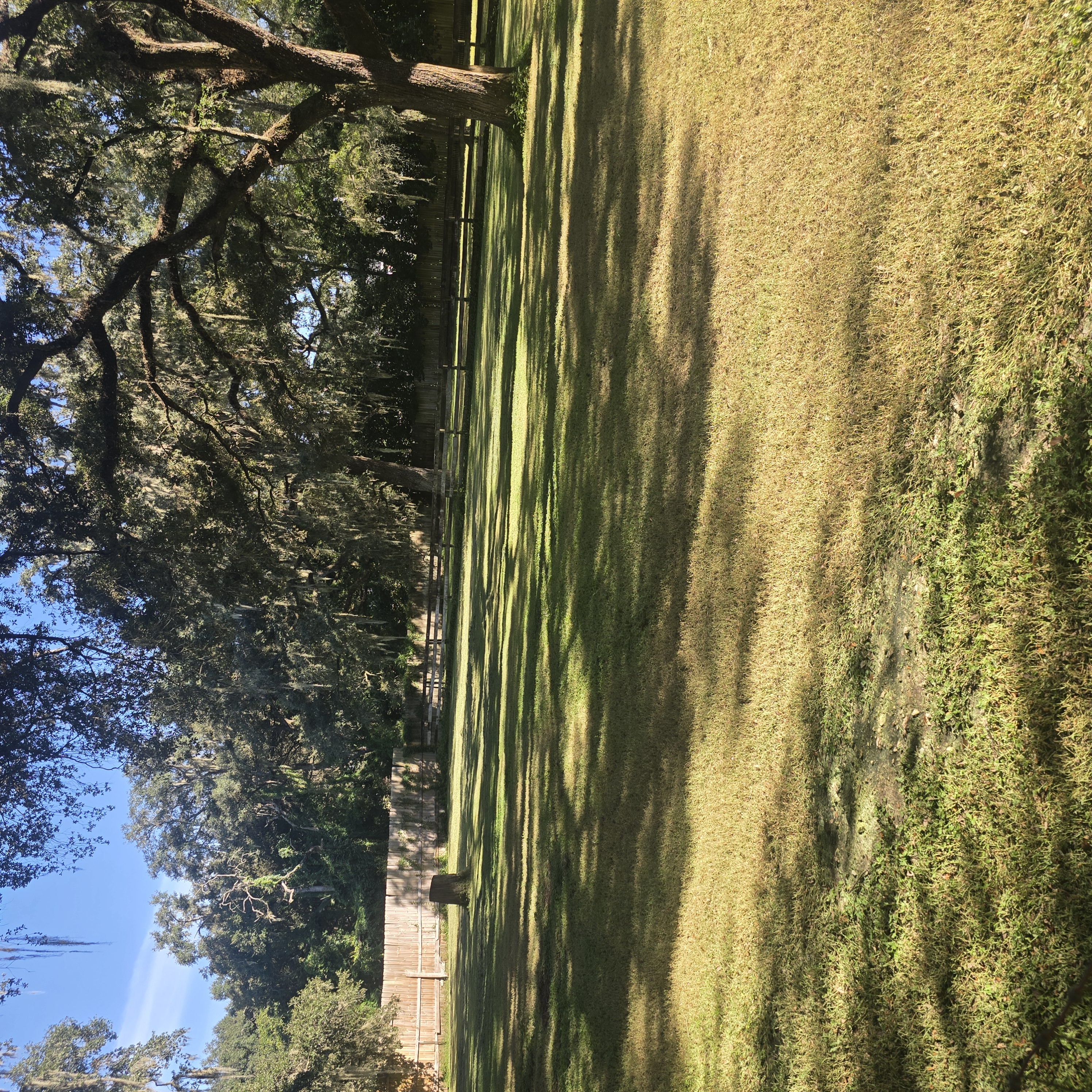 Pasture Perimeter & Mowed Turf Line — Finished Service (After) by Cooter Bay Landscaping