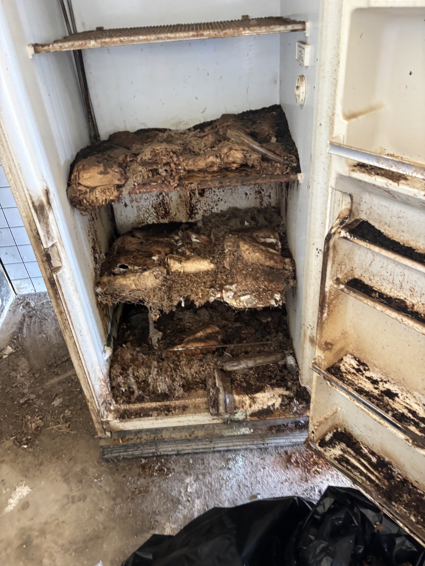 Heavy Appliance Cleanout