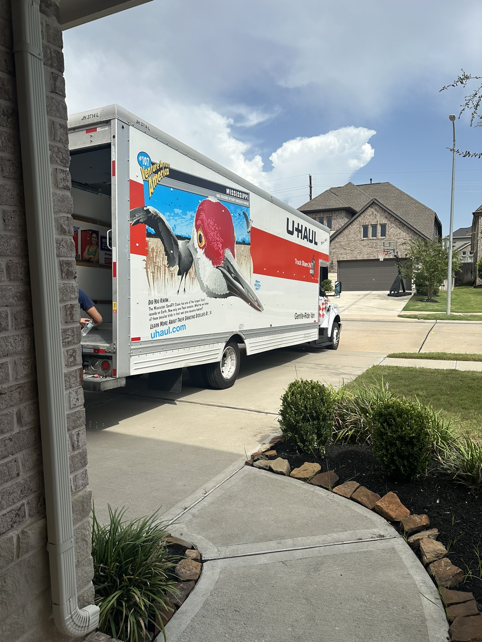 Move-In Day Home Turnover Cleaning