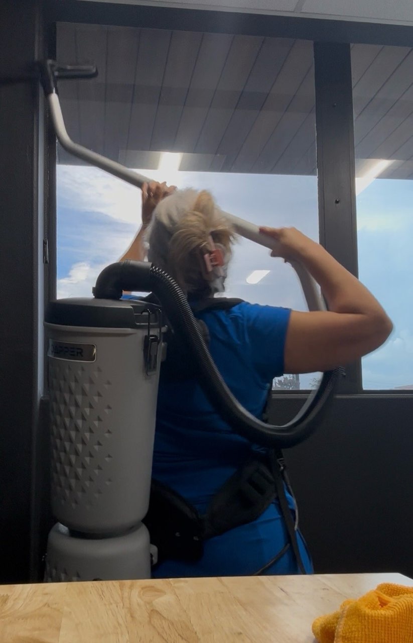 High-Reach Window & Ceiling Vacuuming