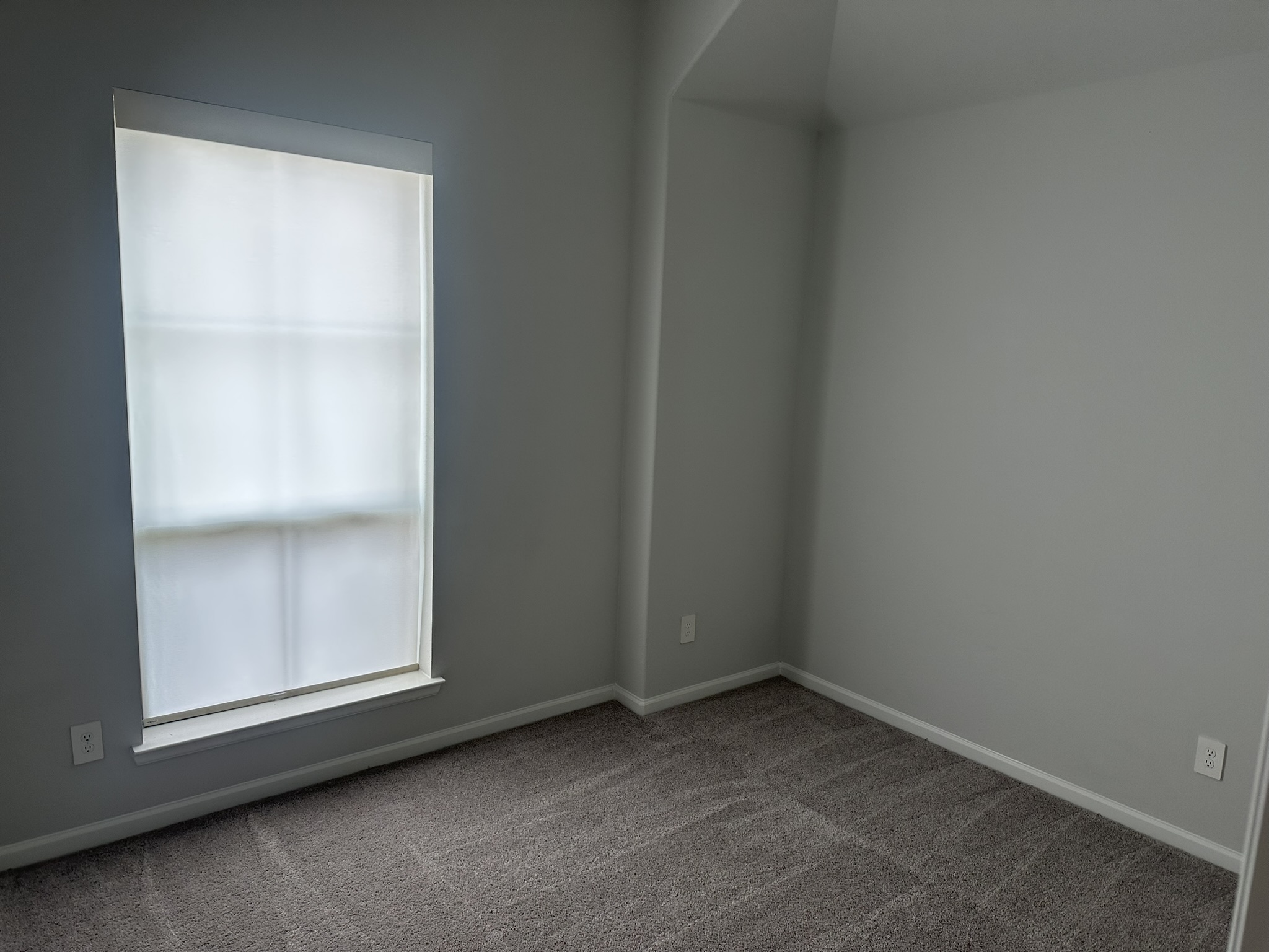 Clean Bedroom Carpet Grooming