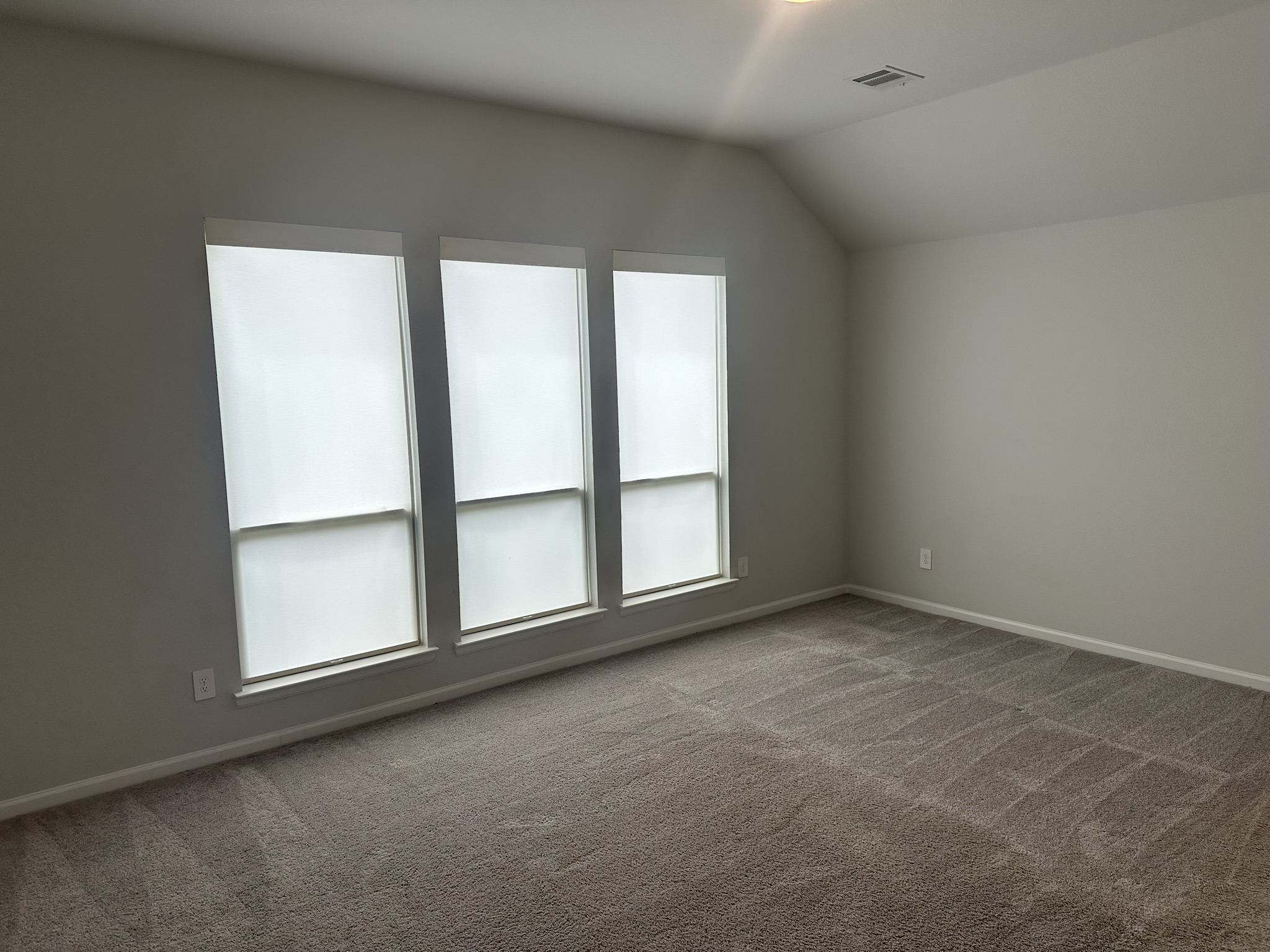 Master Bedroom Clean & Carpet Grooming