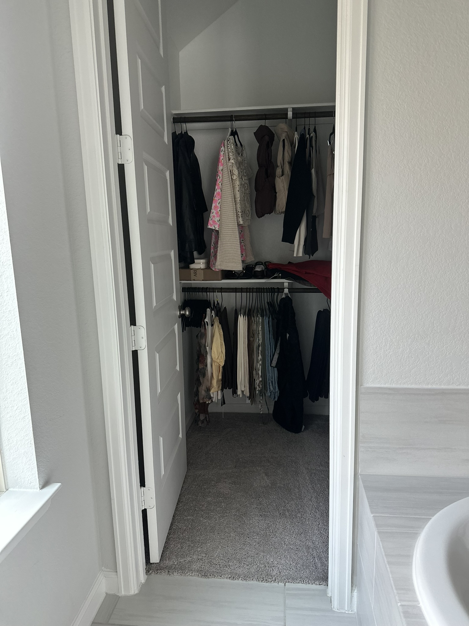 Walk-In Closet Carpet & Organization