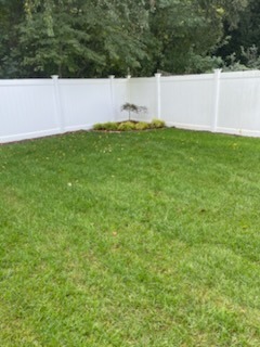 Backyard Lawn Maintenance & Perimeter Care