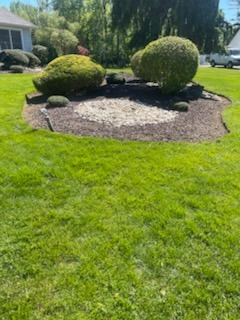 Sculpted Evergreen Shrubs & River Rock Island
