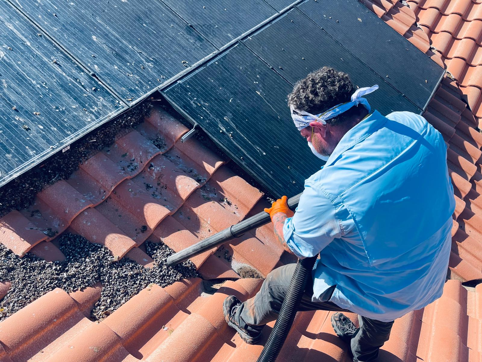 Technician cleaning and sanitizing solar panel bird nesting debris on tile roof
