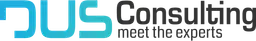 DUS Consulting Logo