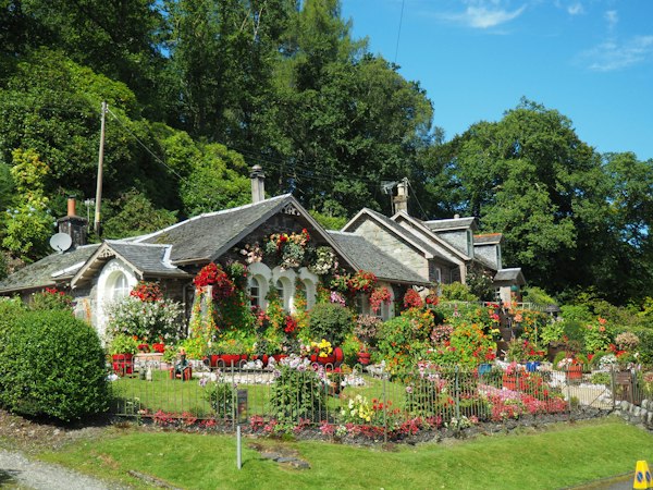 Landscaping