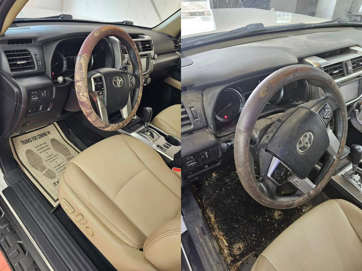 Interior Reset