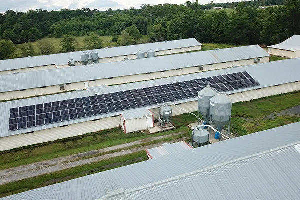Agricultural Facility Solar