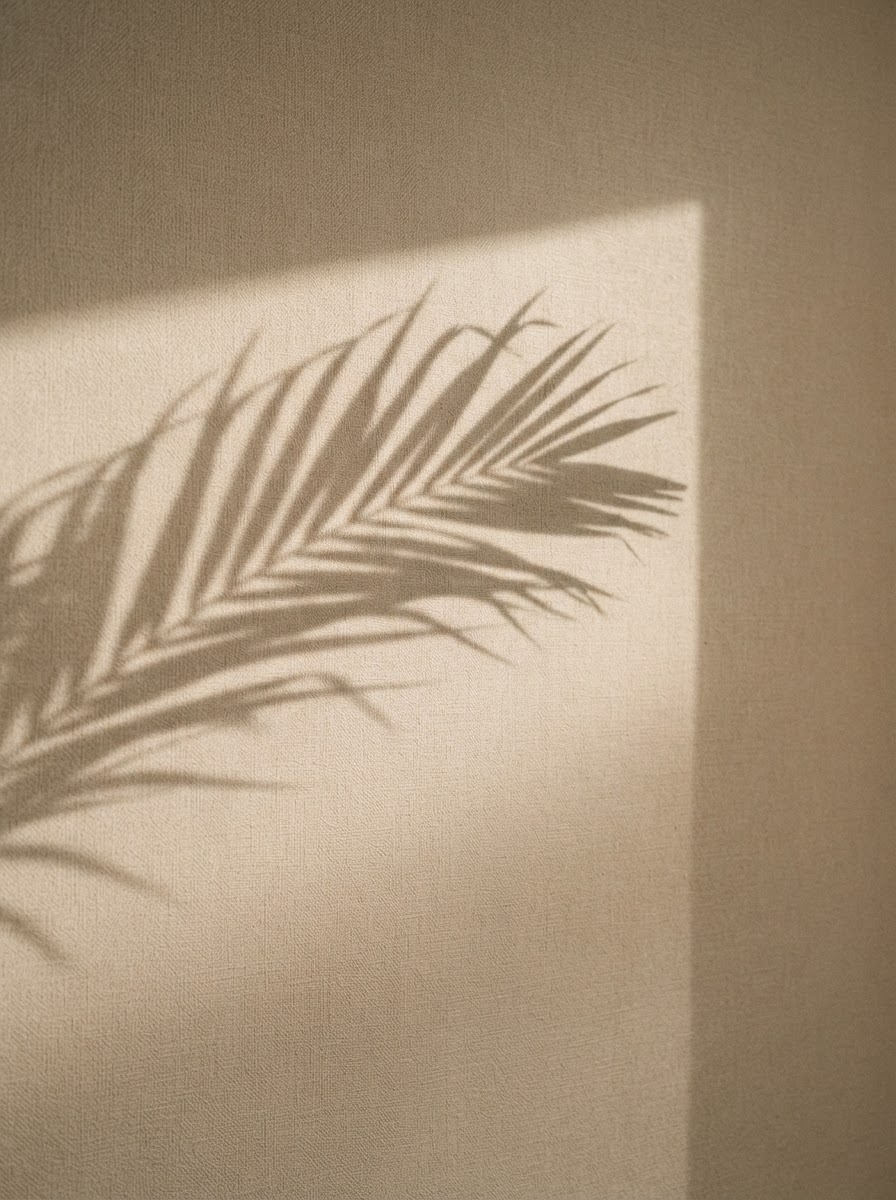 Palm leaf shadow on a linen wall