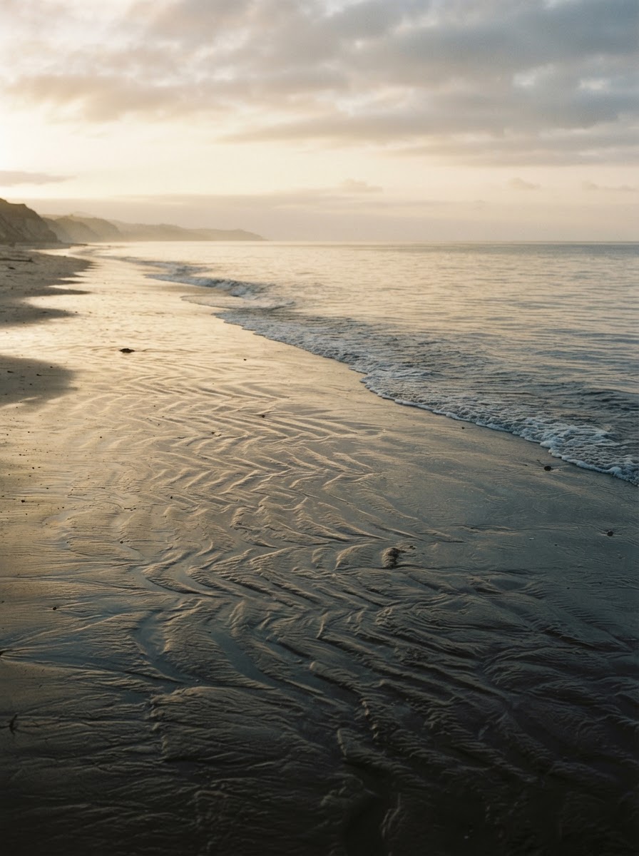 Wet sand on a quiet beach at dawn