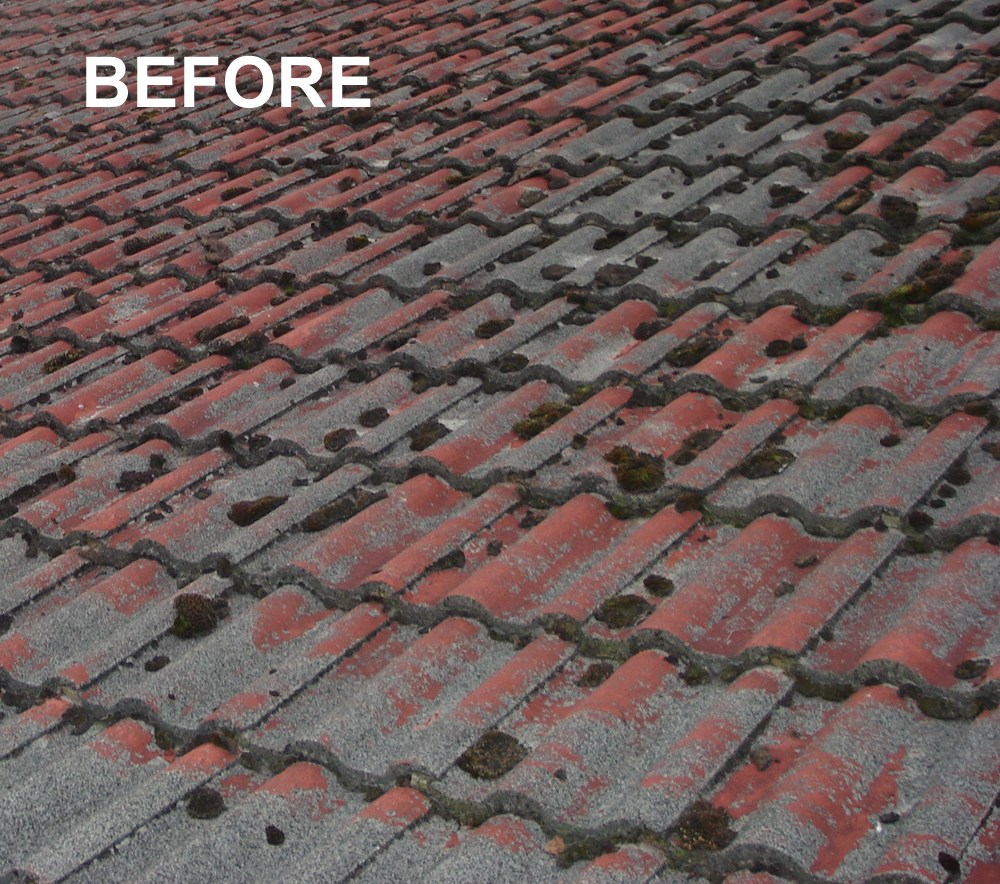 Tile roof before professional care