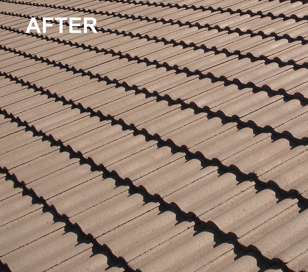 Tile roof after professional care