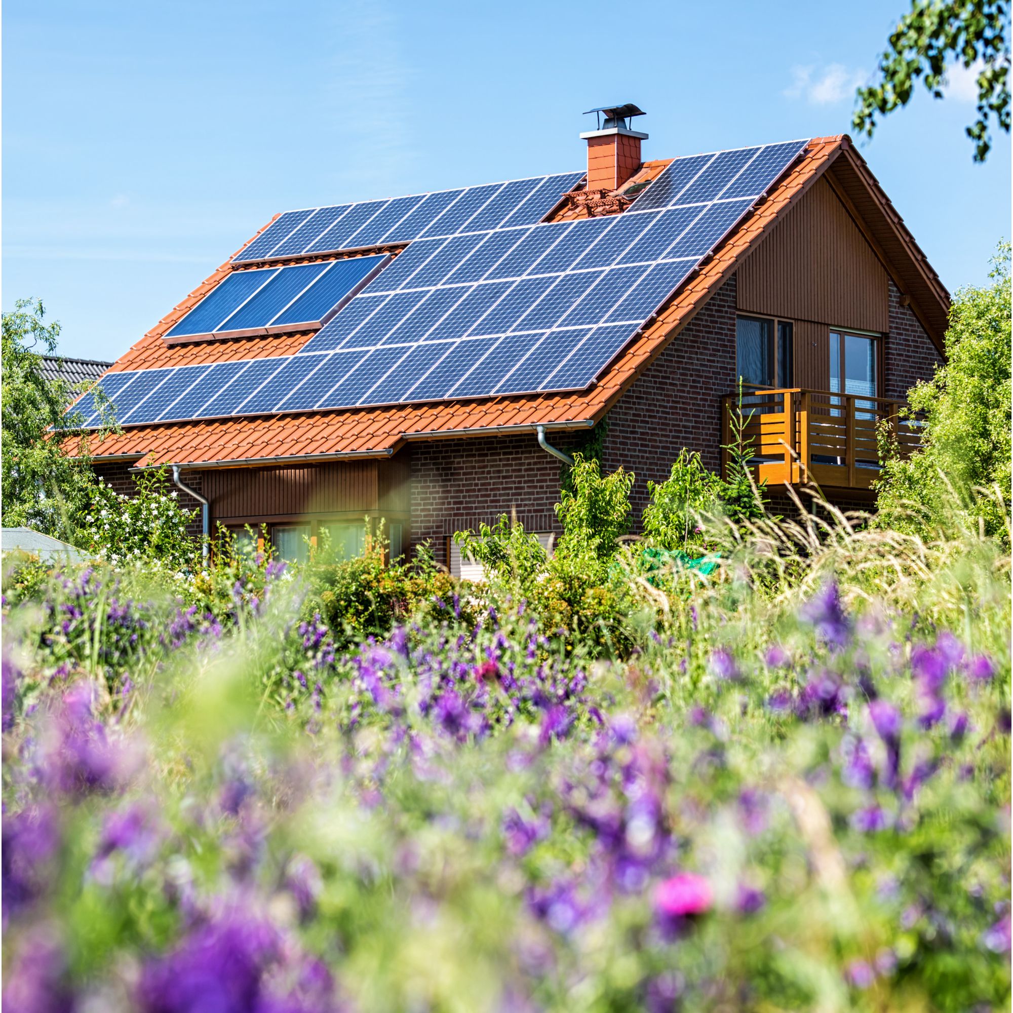 Vivienda con paneles solares fotovoltaicos en el techo rodeada de vegetación.