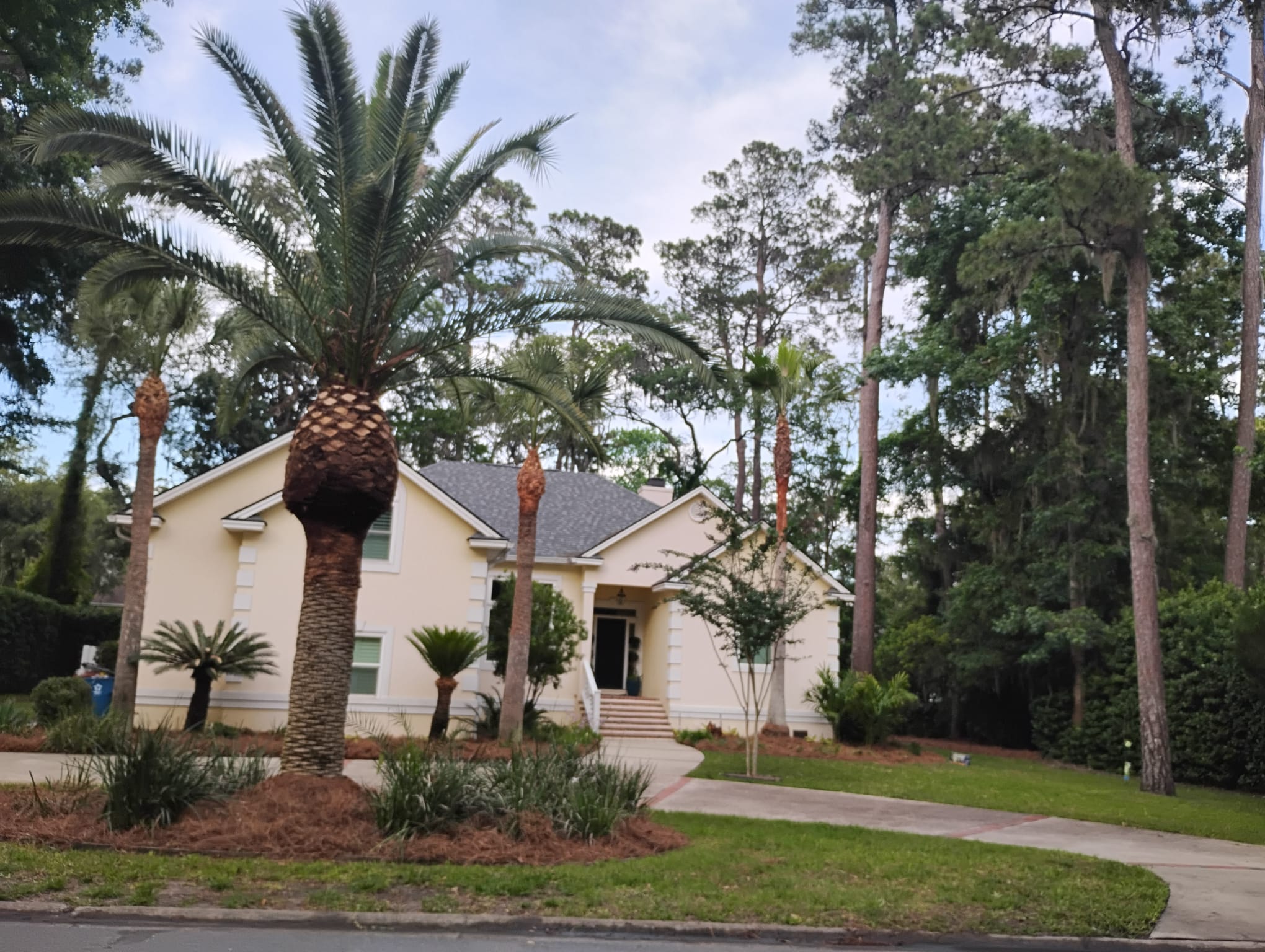 Pristine coastal residence exterior after palm pruning and landscape cleanup by M. & P. Tree Service in St. Simons Island GA