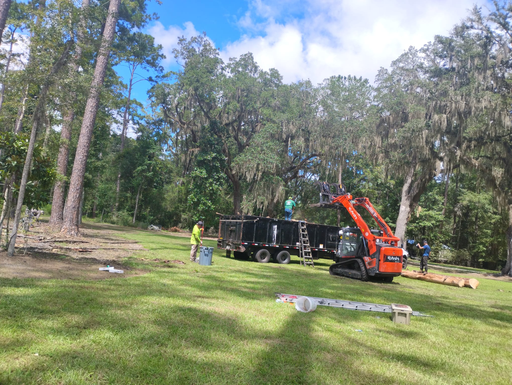 M. & P. Tree Service Kubota track loader transferring heavy felled timber into haul trailer in Brunswick GA