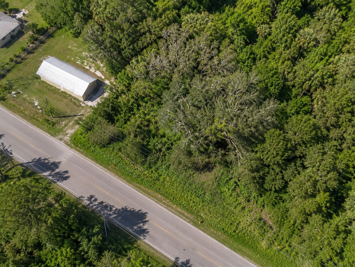 Aerial drone view of tree canopy and residential parcel before property clearing by M. & P. Tree Service in Brunswick Georgia