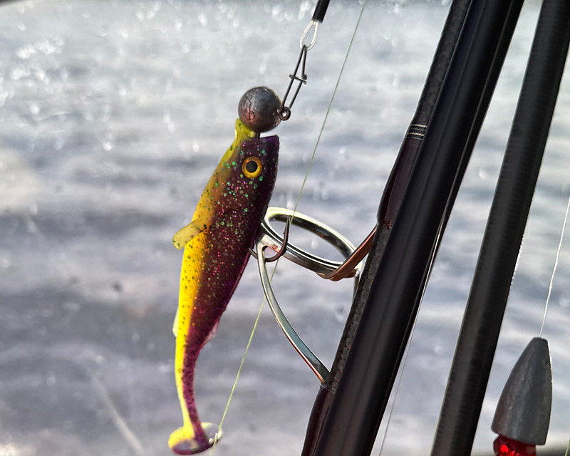 Tackle Check am Wasser