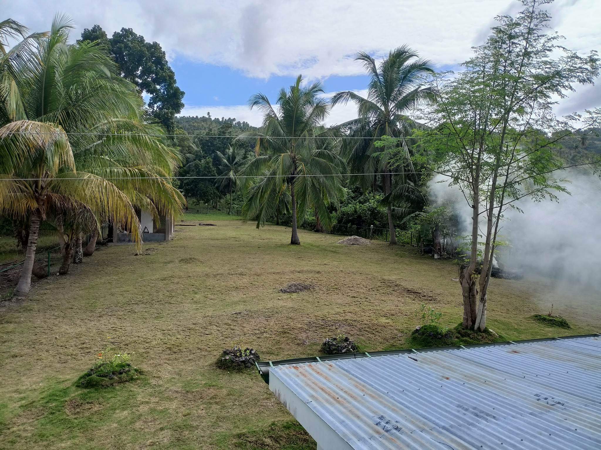 Elevated perspective of the open grassy grounds and tropical coconut trees at Mims House Cebu
