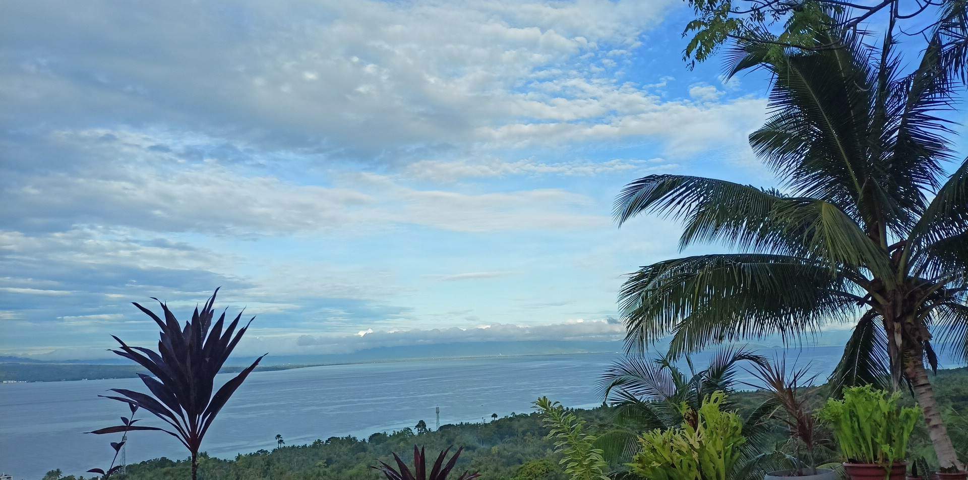 Panoramic daytime view of the calm Tañon Strait, blue sky, clouds, and lush coconut palms from Mims House Cebu in Samboan