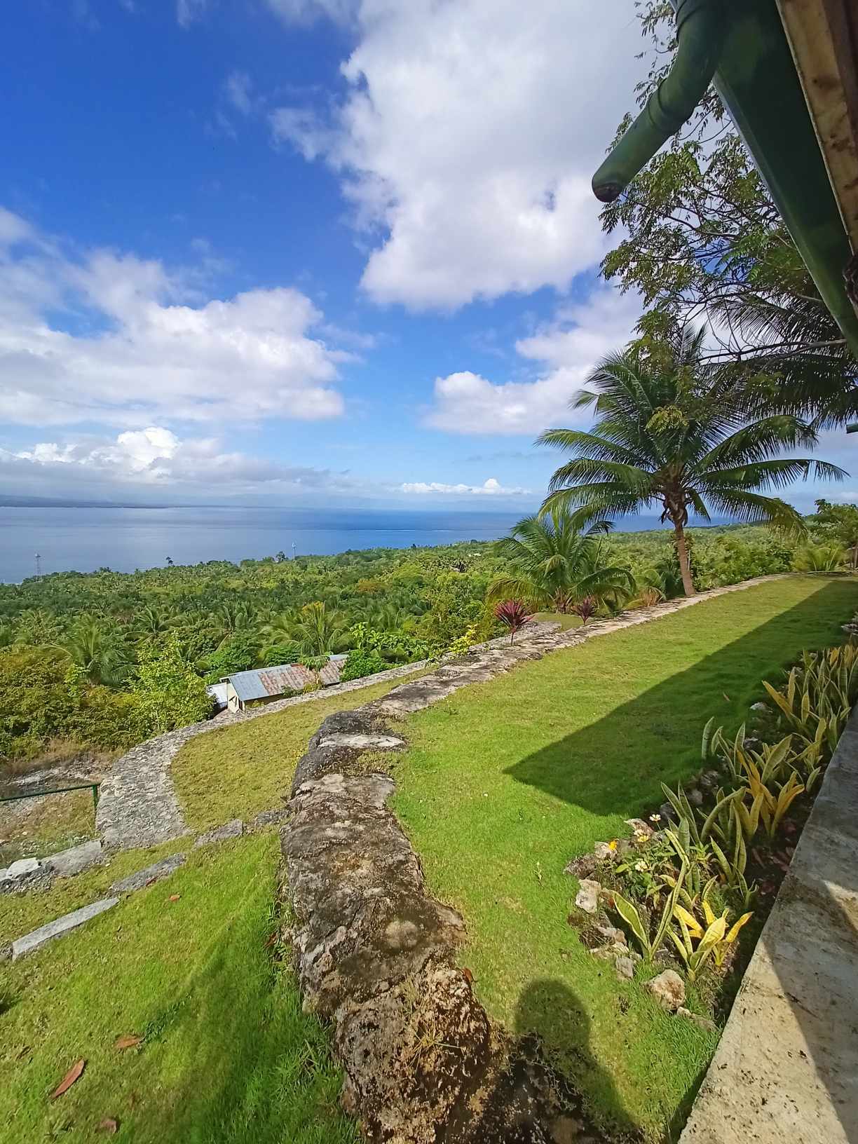 Lush lawn with stone border and palm tree overlooking the sea horizon in Samboan