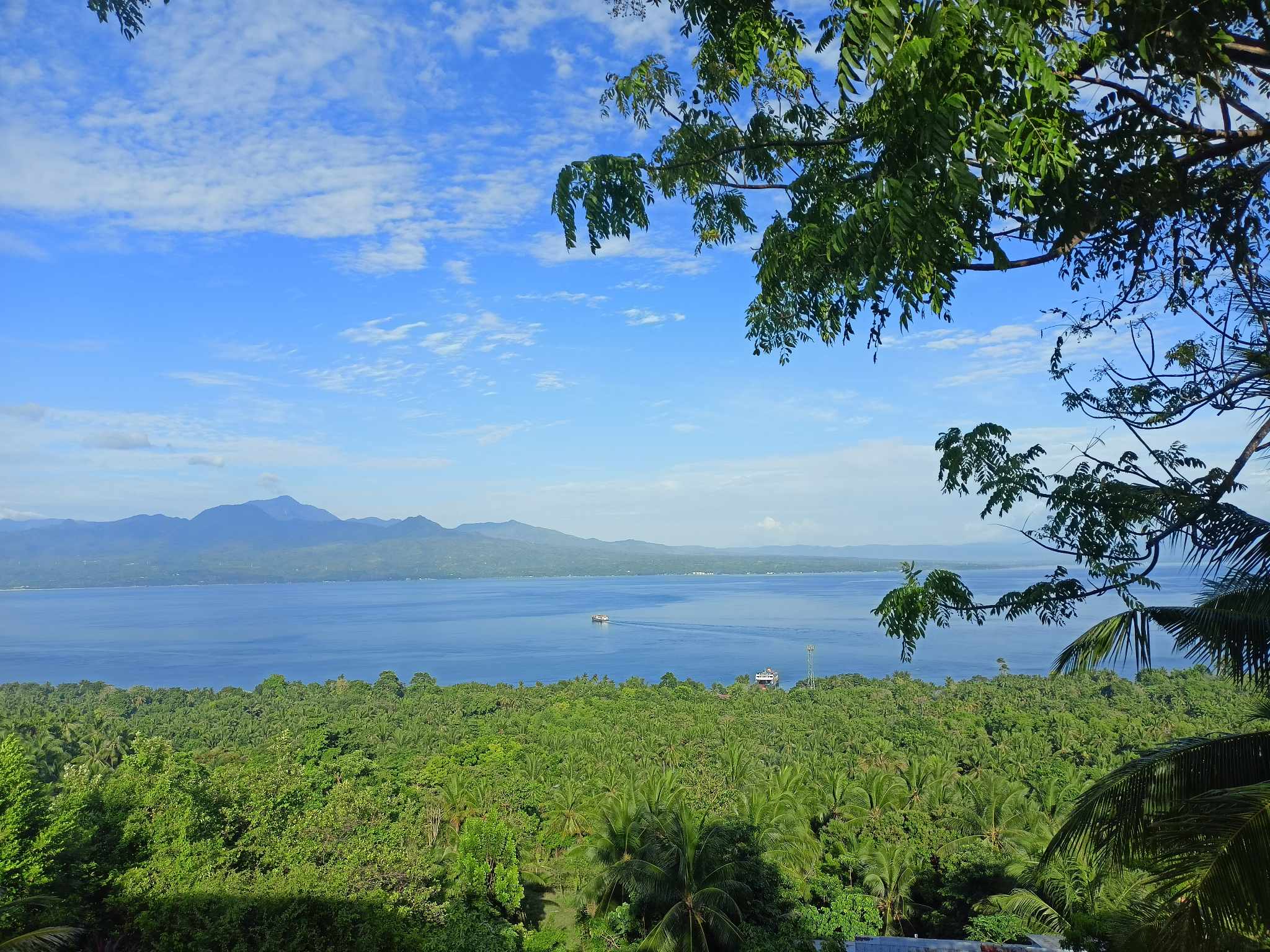 Vast green coconut tree canopy with blue sea and mountains across the strait in Southern Cebu