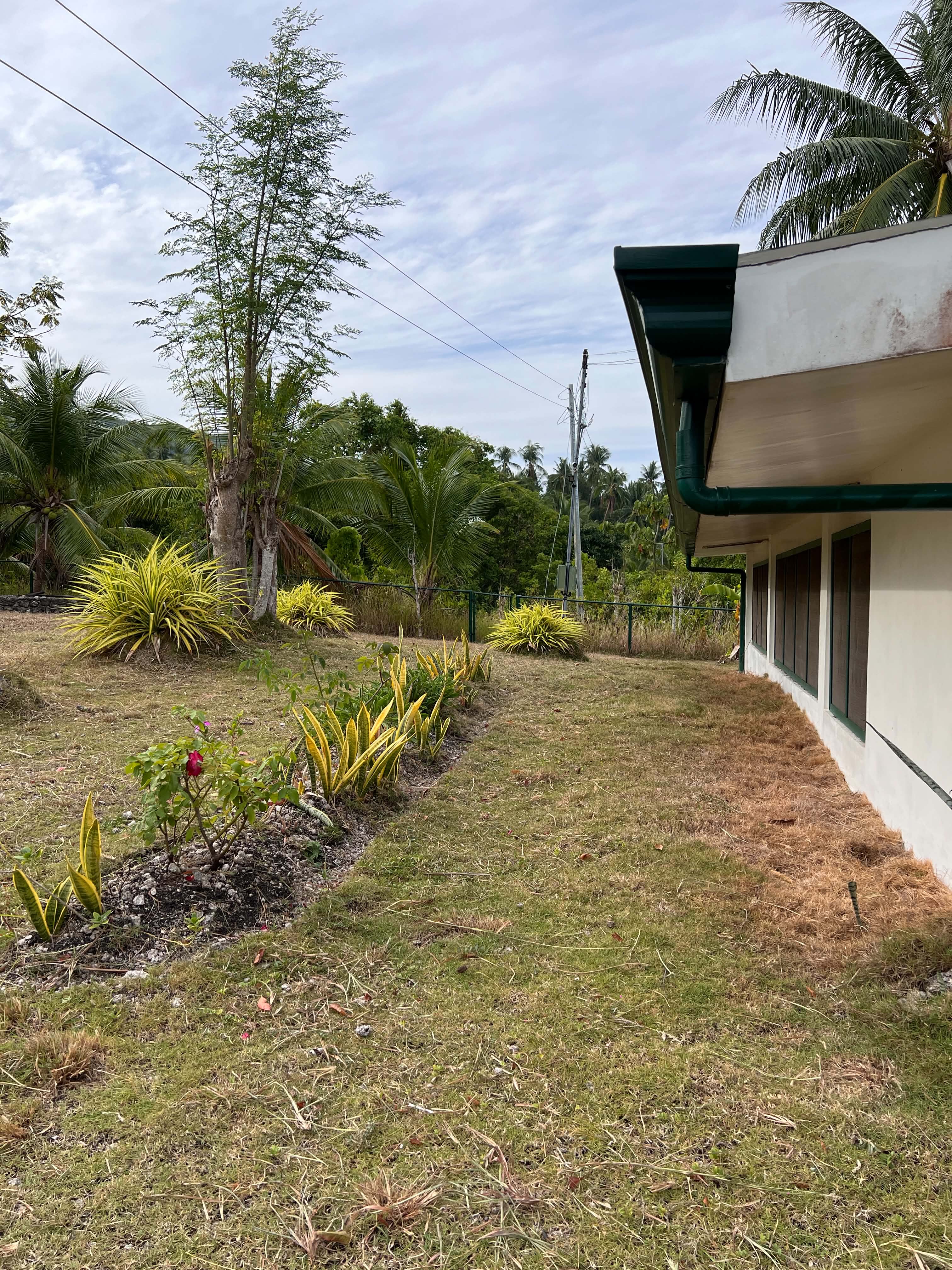 Side garden border with flowering plants, lawn, and house eaves at Mims House Cebu in Samboan