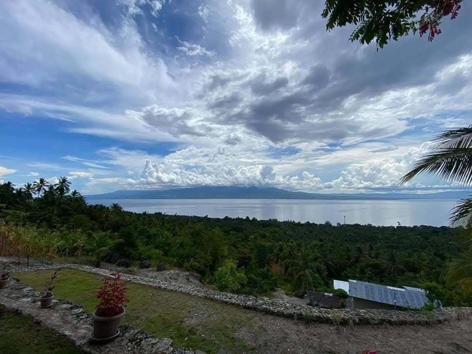 Elevated stone terrace wall with potted plants overlooking lush coconut canopy, calm sea, and dramatic sky in Samboan