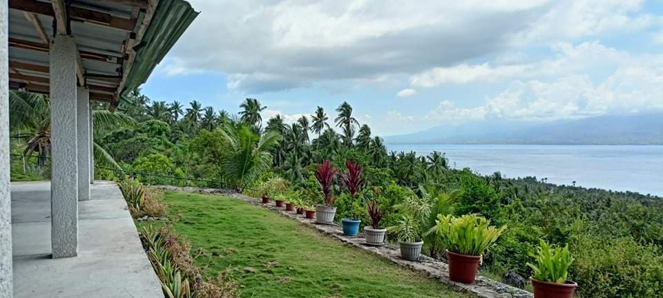Row of colorful potted plants along the veranda terrace edge overlooking lush tropical forest canopy and the Tañon Strait