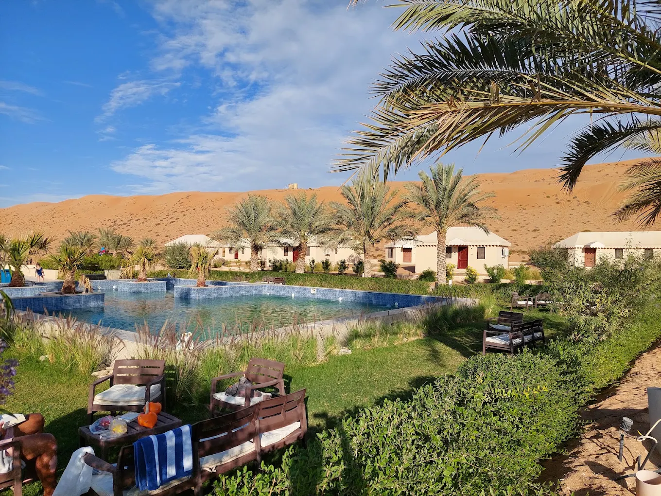 Desert Rose Camp swimming pool & palm oasis