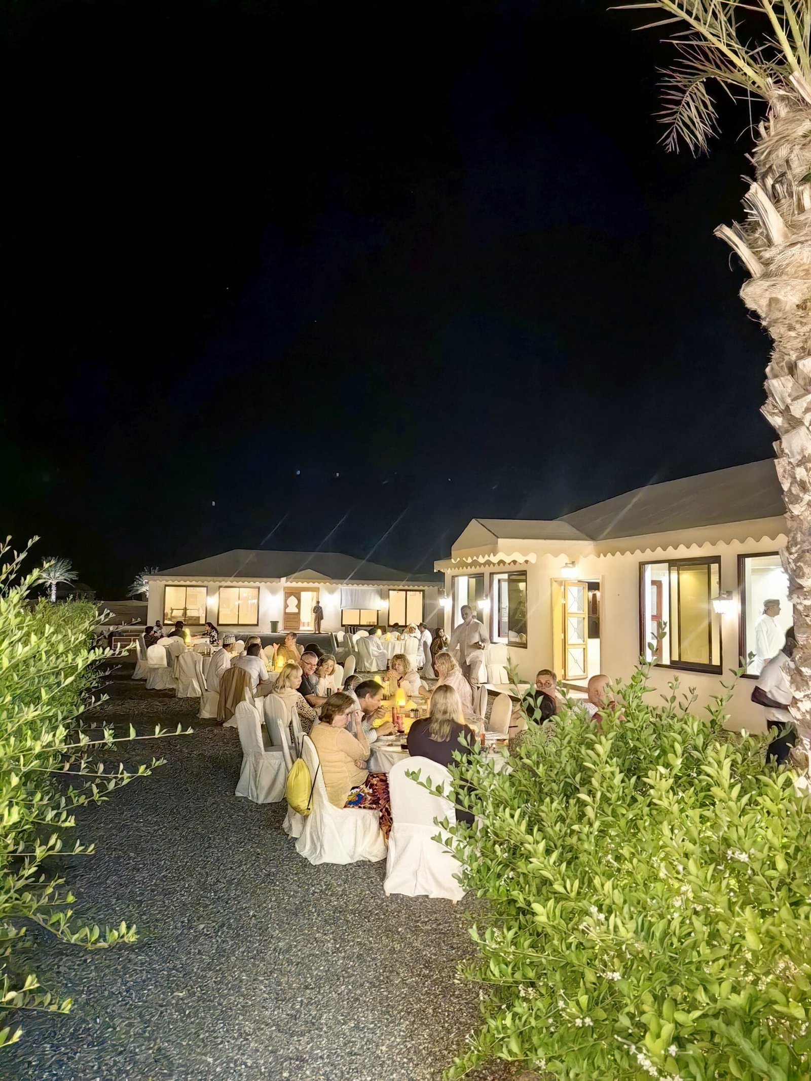 Atmospheric evening buffet and dining setup under lit palm trees