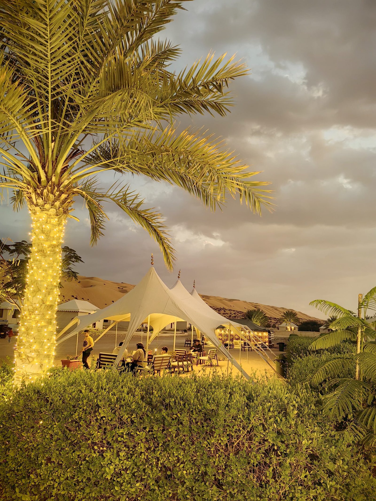 Bedouin luxury tents nestled among lush date palms and dunes