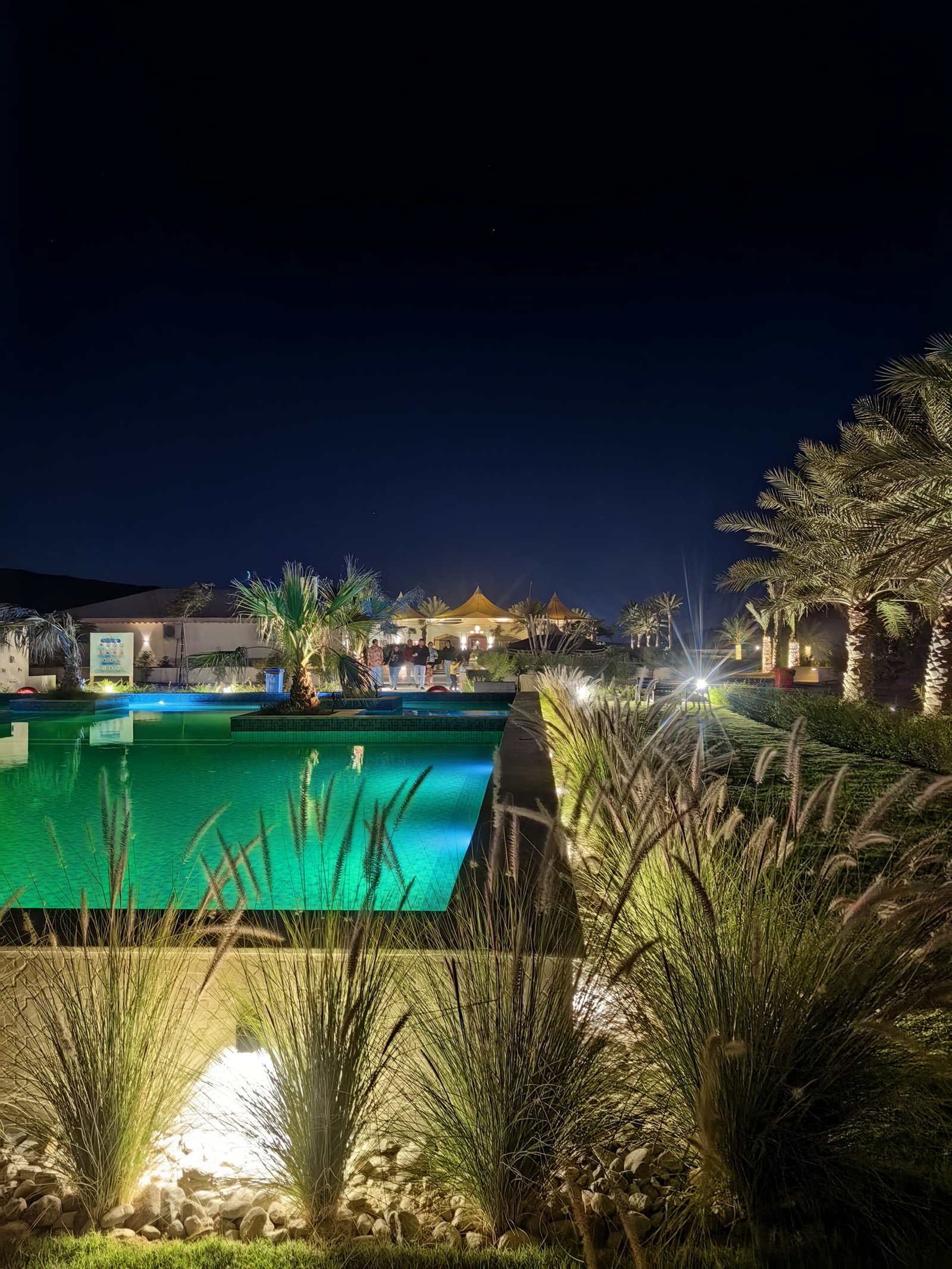 Illuminated swimming pool surrounded by date palms at night