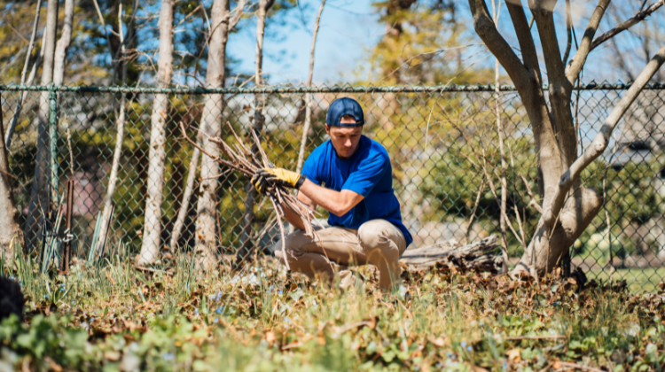 The Fall Yard Cleanup Checklist