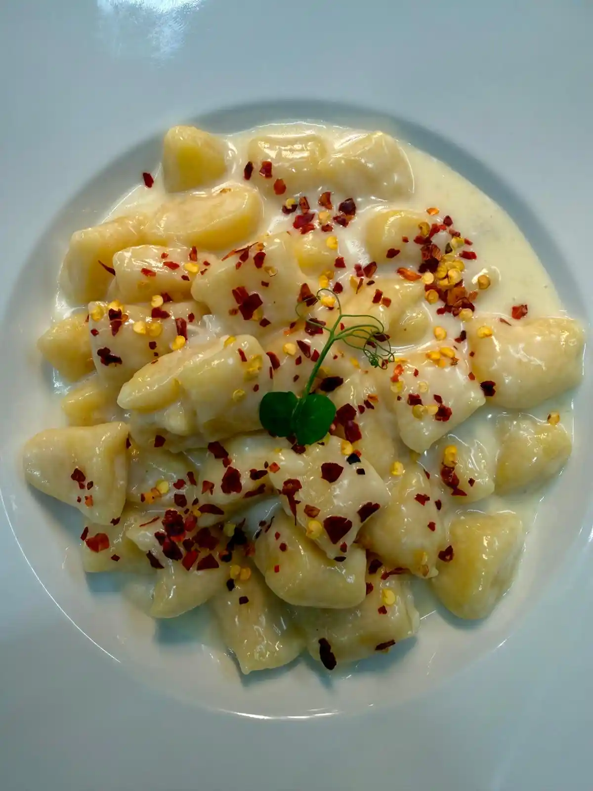 Gnocchi al Gorgonzola e Crusco